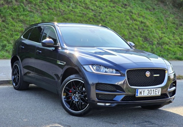 jaguar
